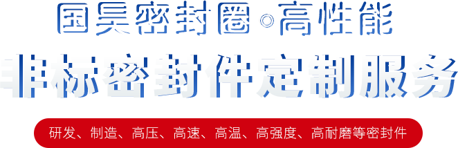 非標(biāo)密封件定制服務(wù)